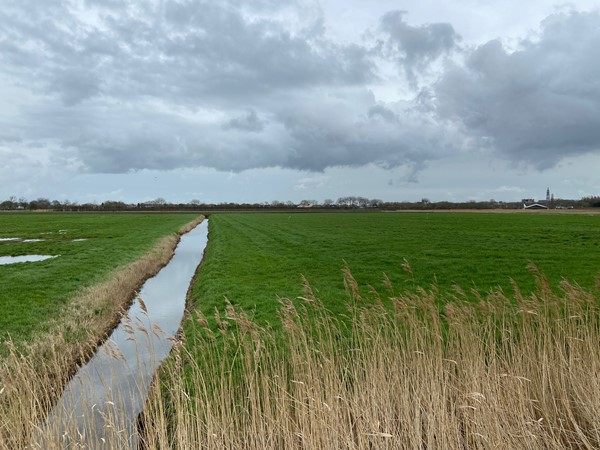 Medium property photo - Schotelweg, 4333 GS Middelburg